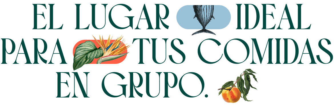 Group 49