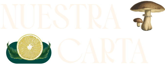 Letras_Carta