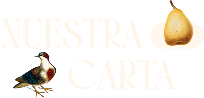Letras_Carta
