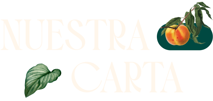 Letras_Carta