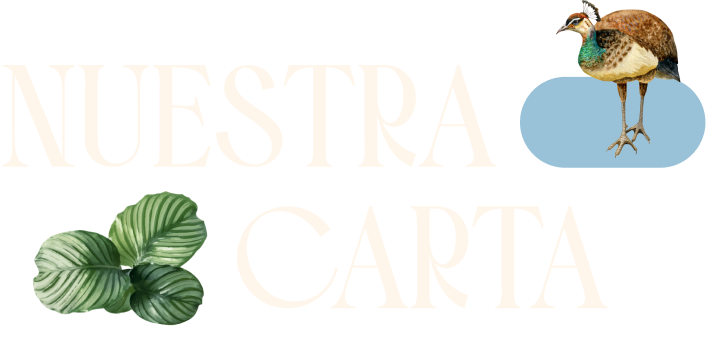 Letras_Carta
