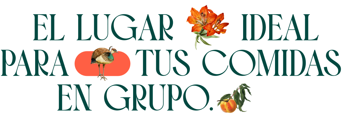 Letras_Grupo_Mobile