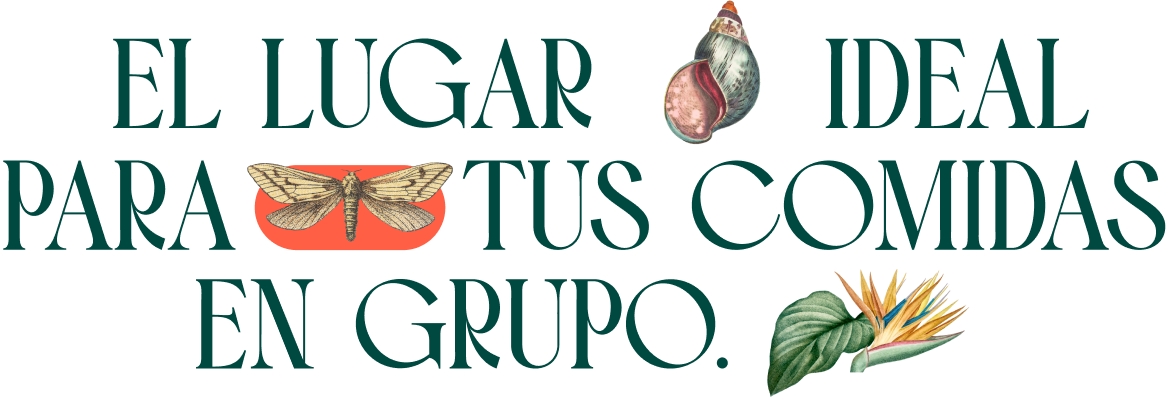 Letras_Grupo_Mobile