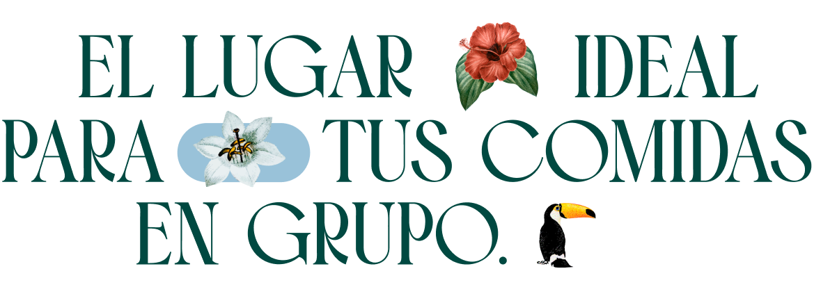 Letras_Grupo_Mobile
